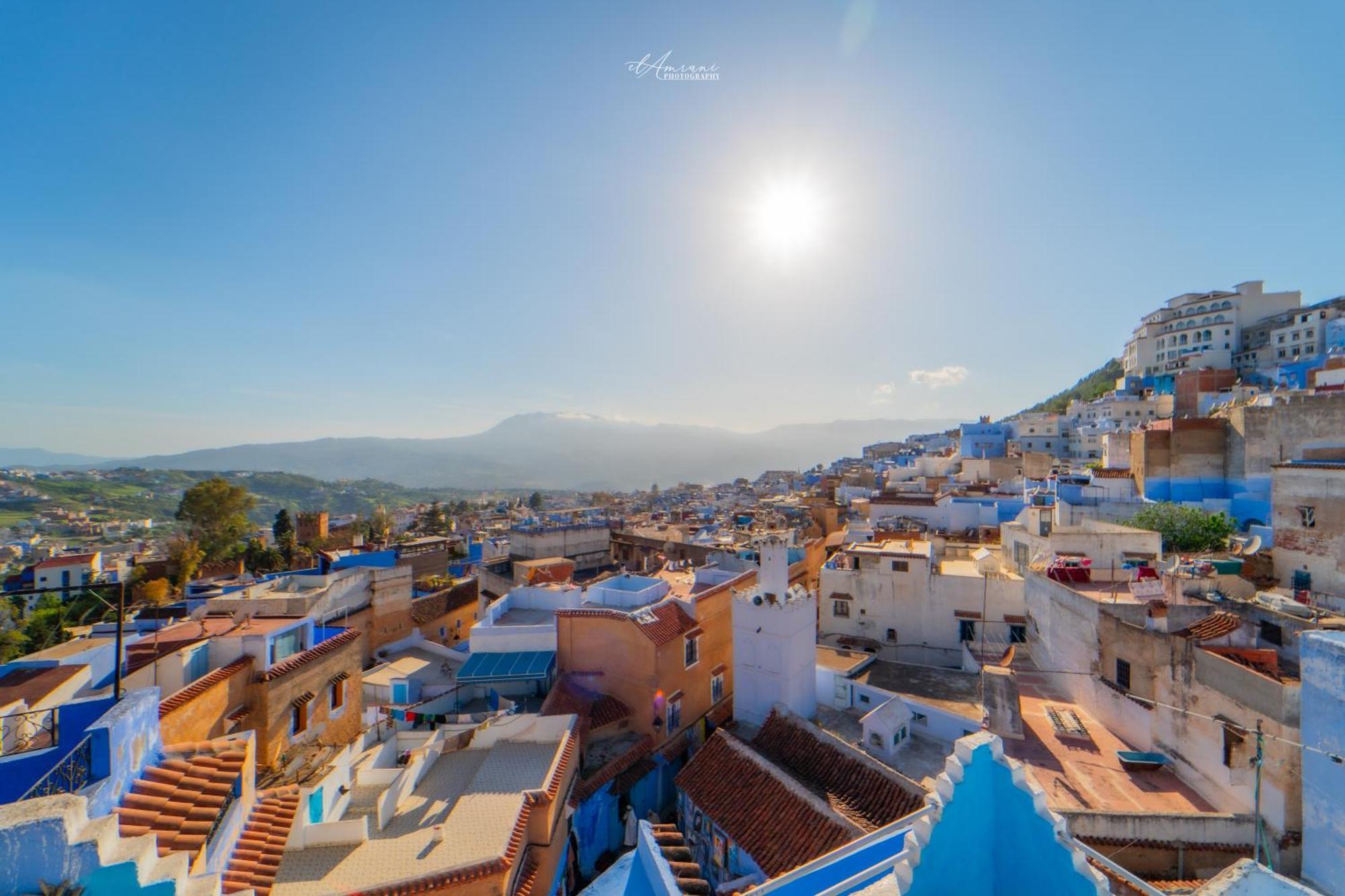 Riad Antek